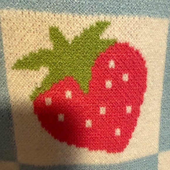 Anthropologie Luna Ivy Strawberry Blue White Checkered Sweater Size Large - Picture 5 of 13